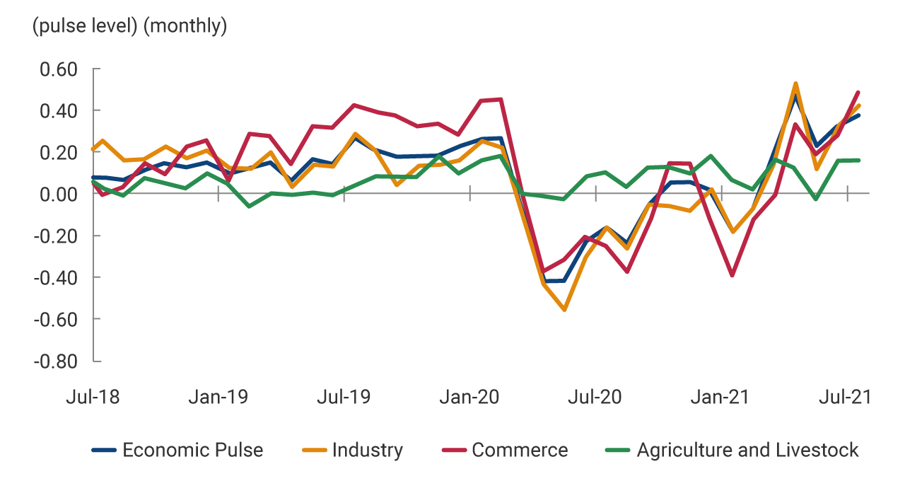 This second panel shows the level of the monthly economic pulse for the industry, commerce and agriculture sectors, whose growth has been below the national average in recent months. The balance of the agricultural sector has remained between -0.05 and 0.15, from July 2018 to July 2021. For the months of April 2020, September 2020 and January 2021, the level of the trade sector fell to -0.4. For its part, the industrial sector presented its lowest level, of -0.55 in May 2020. For the month of July 2021, the three sectors show positive balances.