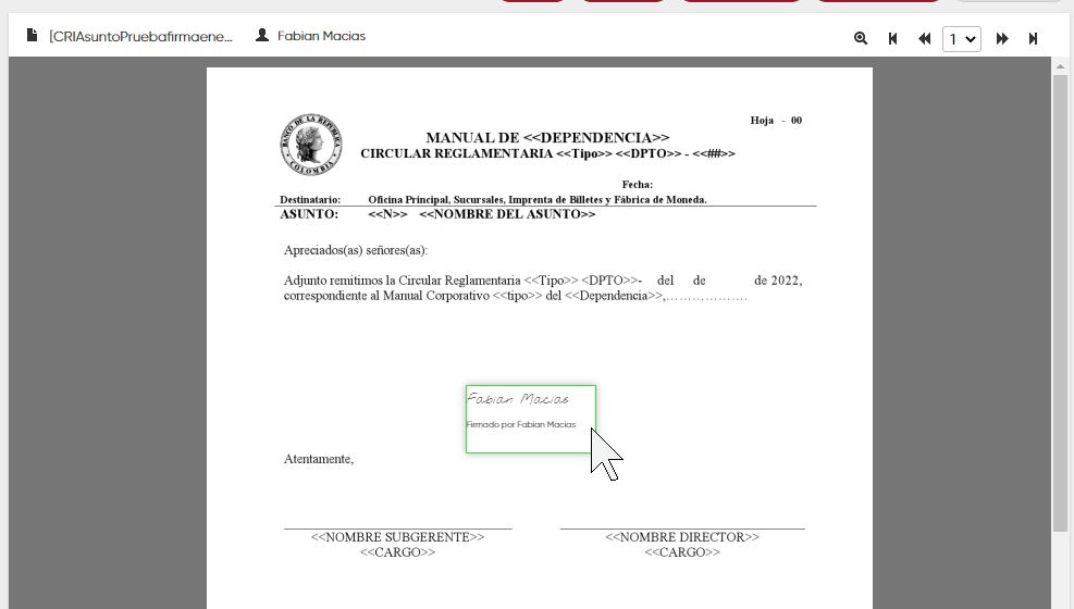 Vista previa del documento con firma incluida