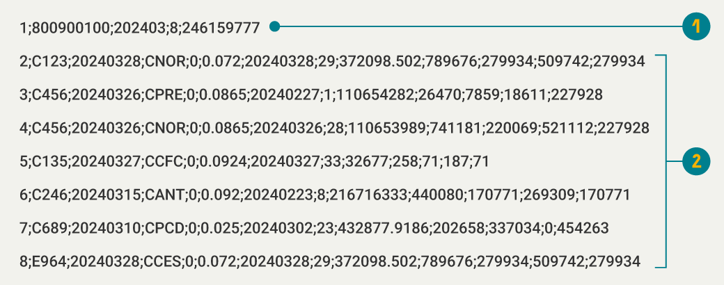 Imagen de ejemplo de la estructura del archivo Formato tipo 2, Cuenta de cobro de la cobertura.