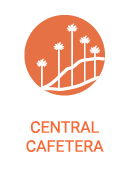 Se representa la región central cafetera de Colombia, con una imagen del Valle del Cocora