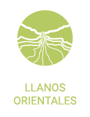 Se muestra una imagen de la región Llanos Orientales, con una ilustración de Caño Cristales, nuestro río de 7 colores