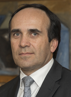 Chief Officer for General Corporate Services - Luis Francisco Rivas ...