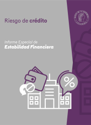 Special Financial Stability Report