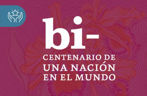 Imagen decorativa